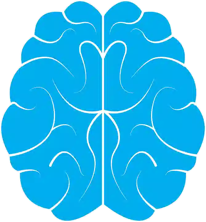 Brain icon for IQ assessment